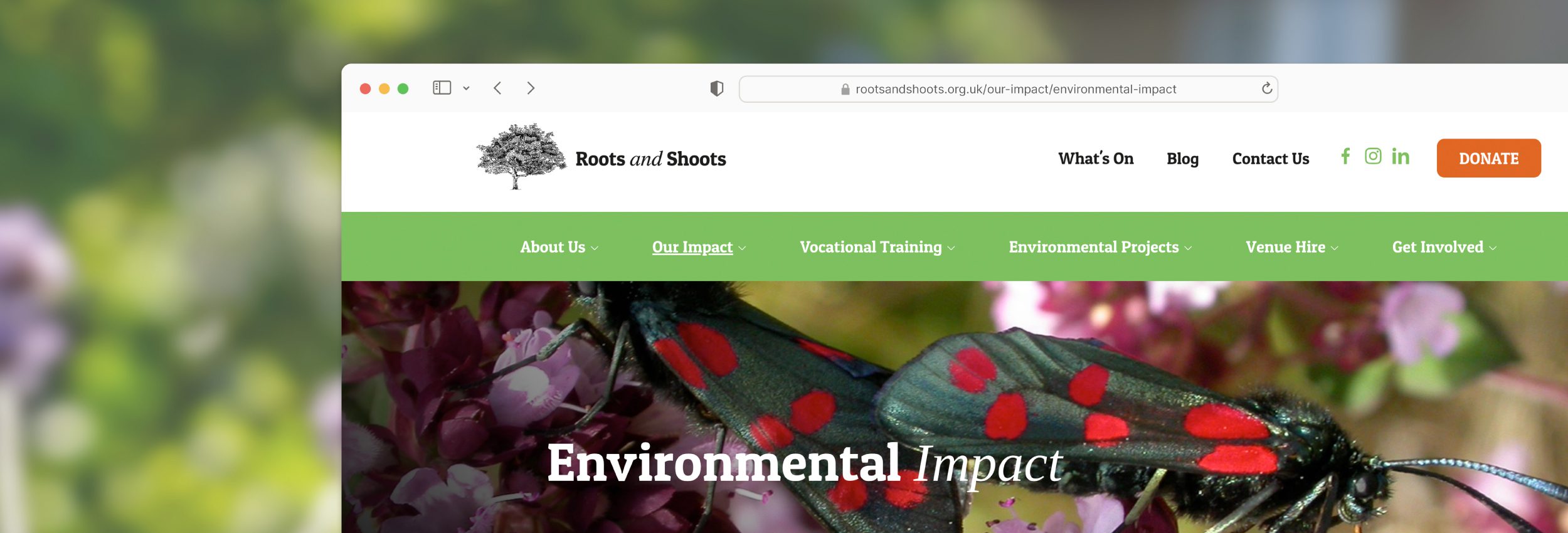 Roots and Shoots | Website Design for London Charity | Client Work